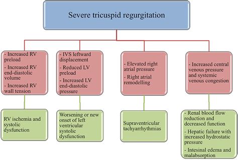 severe lvsd prognosis.